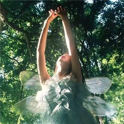 宅门里的丫鬟们